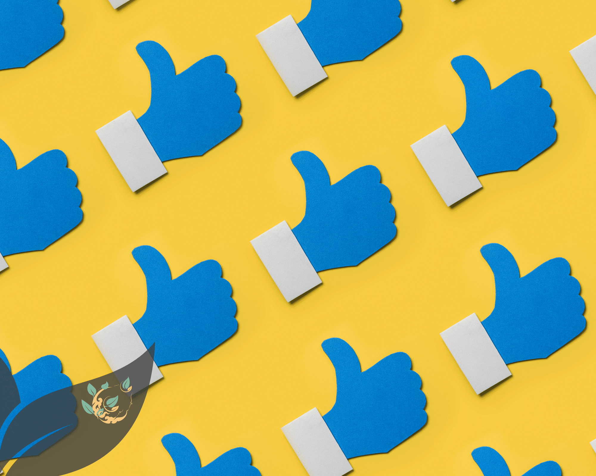 Facebook pourquoi et comment créer sa page pro